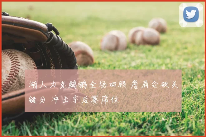 湖人力克鹈鹕全场回顾 詹眉合砍关键分 冲击季后赛席位