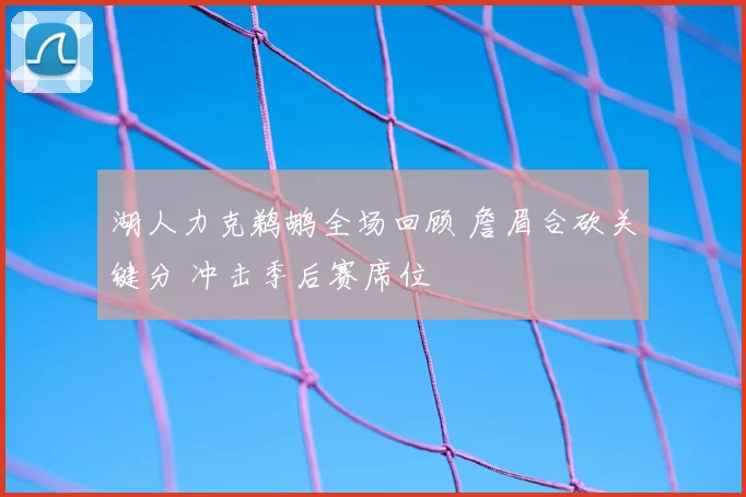 湖人力克鹈鹕全场回顾 詹眉合砍关键分 冲击季后赛席位