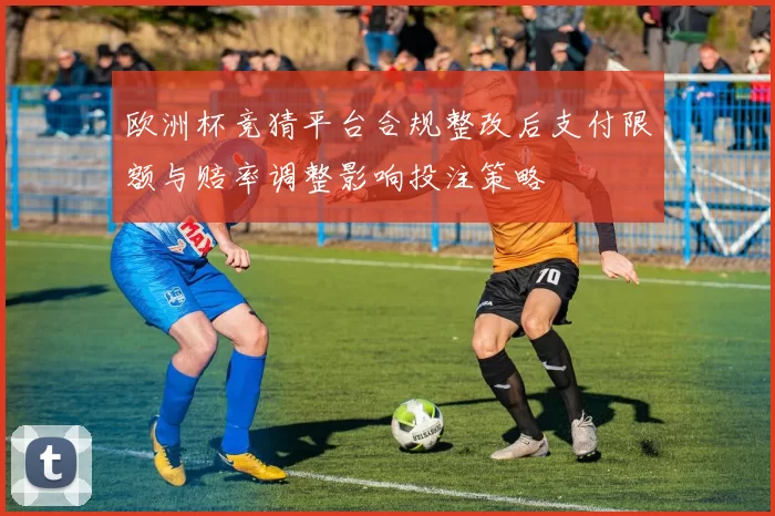 欧洲杯竞猜平台合规整改后支付限额与赔率调整影响投注策略