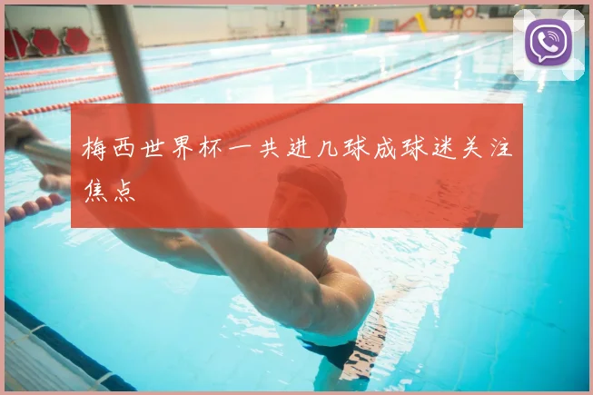 梅西世界杯一共进几球成球迷关注焦点