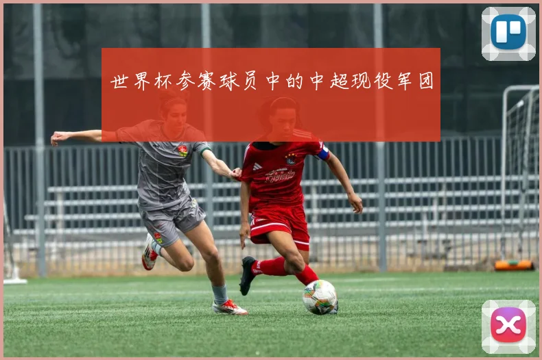世界杯参赛球员中的中超现役军团