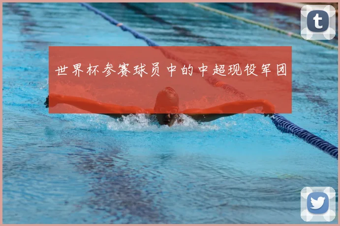 世界杯参赛球员中的中超现役军团