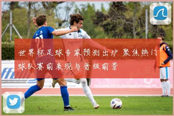 世界杯足球专家预测出炉 聚焦热门球队赛前表现与晋级前景