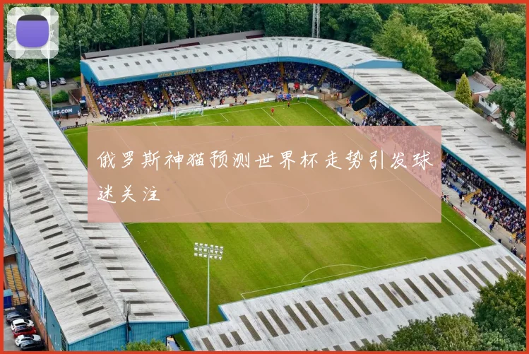 俄罗斯神猫预测世界杯走势引发球迷关注