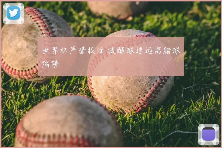 世界杯严禁投注 提醒球迷远离赌球陷阱